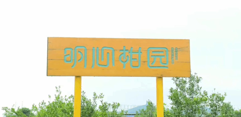 对话向上的民族品牌—时光雕琢出的文化印记